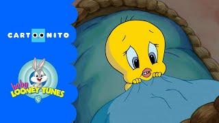 Baby Looney Tunes | Scary Night | Cartoonito UK 