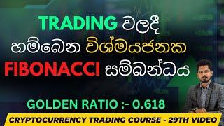 Fibonacci වලින් Trade කරමු |  SINHALA | 29 th Video