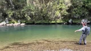 Fly Fishing for Brown Trout in New Zealand