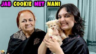 JAB COOKIE MET NANI | Aayu and Pihu Show