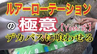 ルアーローテーションの極意【Yoshi式】クリークにてデカバスを獲る方法