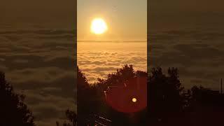 Netarhat sunrise  point #music #latehar #network #forest #song