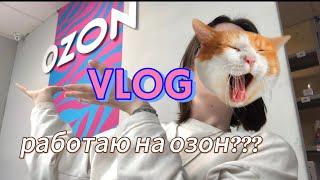 ||VLOG мой рабочий день на ПВЗ озон||