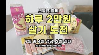 |4인가족생활비지출|생활비절약방법,하루2만원살기,4인가족생활비,2만원살기 도전해보았더니,4인가족식비지출,4인변동지출비,4인가족가계부,,4인변동지출비얼마, 마트지출비용,생활비절약하기