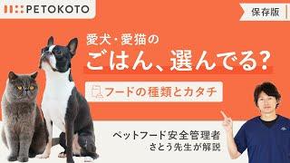 【永久保存版】ドッグフードの種類や正しい選び方を獣医師が解説（犬のごはん / ドライフード / フレッシュフード / 子犬 / シニア犬）