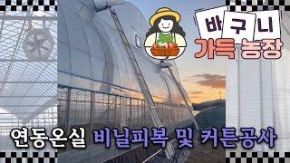 [바구니가득농장] 딸기 스마트팜 온실공사 비닐 및 커튼시공 (2024.12.26)