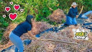 TRABAJANDO EN EL CAMPO con MIS PAPÁS  APORREO DE FRIJOLES | Celinaz El Salvador