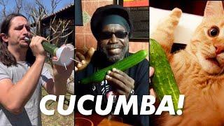 Macka B X The Kiffness - Cucumba (Cucumber Rap) [Live Looping Remix]