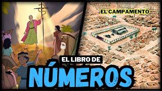 NÚMEROS: Los CENSOS | El CAMPAMENTO | Los 12 ESPÍAS | La SERPIENTE de BRONCE | BALAC y BALAAM | # 13