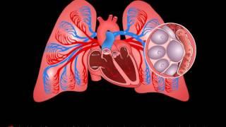 CONGESTIVE HEART DISEASE- OVERVIEW