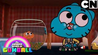 A chegada | O Incrível Mundo de Gumball | Cartoon Network 