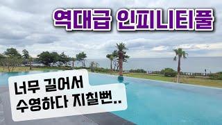 파르나스 호텔 제주 인피니티풀 ESTUARY #여행하는약사