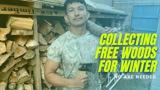 Vlog: Limbu collects free firewood for winter in the UK