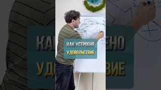Как устроено удовольствие  #вместемысправимся  #зависимость  #созависимость  #психология