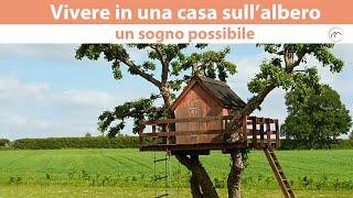 Vivere in una casa sull'albero: un sogno possibile?