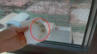 Dirty Window ScreensOne Trick to Clean Without Removing Them， [Awesome]，Simple，tips ， Life Hacks