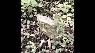 Graveyard Walk | Forgotten Stories and Whispers of History