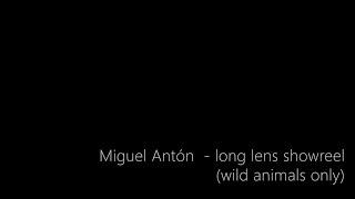 Showreel 2020 Miguel Antón