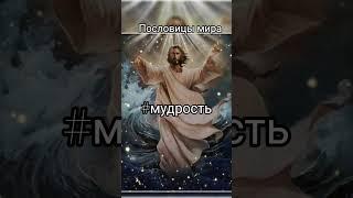 Принимай в комментариях с щедростью, БЛАГО ДАРЯ из любви к СЕБЕ  #мудрость #силасознания #жизнь