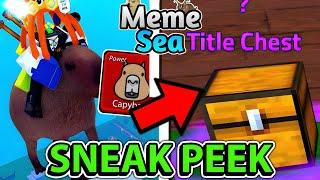 SAIU AS SNEAK PEEK OFICIAIS DO UPDATE 5 NO MEME SEA!