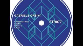 Prohibited Area - Original mix - Gabriele Orsini - Finish Team Records