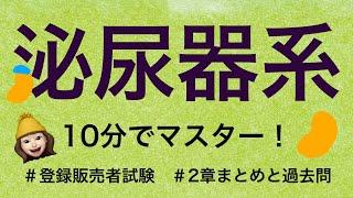 【2章泌尿器系①】薬剤師が解説する登録販売者試験