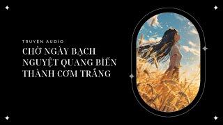 [ Truyện audio ] - Chờ Ngày Bạch Nguyệt Quang Biến Thành Cơm Trắng - Zhihu