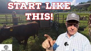 The EASIEST Way To Start Raising Cows