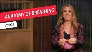 Voice Techniques: Anatomy of Breathing | Singing | Vocals | Voice | Berklee Online