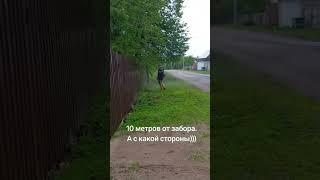 Косить или не косить, вот в чем вопрос. #новости #беларусь #лукашенко #диктатура