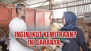 CARA BERGABUNG DENGAN KEMITRAAN CHICKIN SMART FARM | CHICKINPEDIA