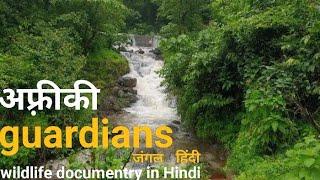 The guardians of the River - हिंदी डॉक्यूमेंट्री ! Africa wildlife documentry in Hindi