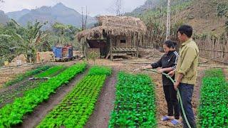 kind man: helping single mother renovate her garden // Ly Tu Dieu