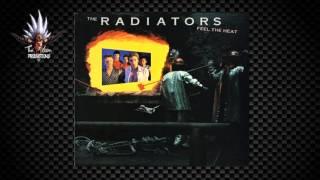 The Radiators -  17, I Wish I Was