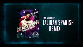 TINY MELODIES - TALIBANS (SPANISH REMIX FT . DJ MANDO)