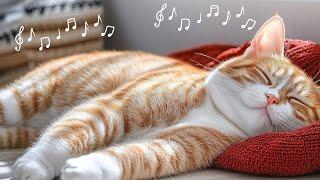 Purring Cat and Cozy Fireplace | Relax and Sleep Instantly with Cat Purr and Fire Sound