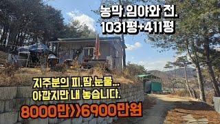 184번)내 소유의 산과 밭.농막까지...이번이 마지막 기회!!