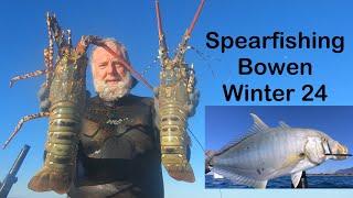 Spearfishing Bowen Winter 2024