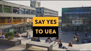 5 Reasons to Say Yes to UEA