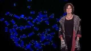 Titia de Lange (Rockefeller U.) 1: Telomeres and human disease