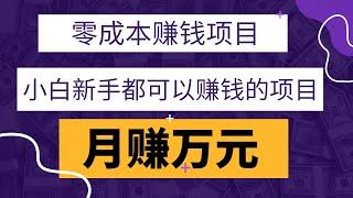 2022网赚，新手网上赚钱项目分享！零成本赚钱，月赚万元的的代找电子书项目，小白新手都可以赚钱的项目！