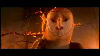 Legend of the Guardians: The Owls of Ga'Hoole - Soren vs Kludd (Albanian)