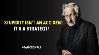 Noam Chomsky: Are We Being Kept Stupid on Purpose? (Must Watch!)