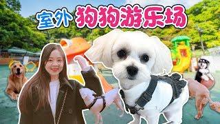 小伶帶coco去狗狗室外遊樂場！小伶玩具 | Xiaoling toys