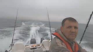 Boat fishing at Swansea, feathering for mackerel, bait fishing and trolling for bass #bassfishing