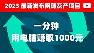 2023最新灰产项目 | 网络赚钱 | 网赚 毫无风险，教你五分钟就可以赚到三千 灰产跑分跑货真实演示（真实测试网站）