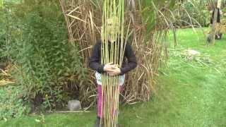 Pflanzen Vermehrung Teil 6. Chinaschilf (Miscanthus). Gärtnertipp Instructions