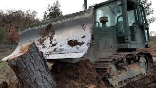 CASE Military Bulldozer Pushing Stumps