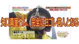 矢口真里さん、完全にヨゴレ芸人となる　2chまとめ