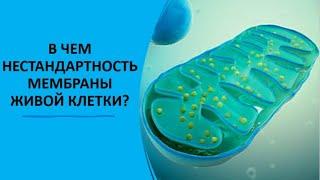 1. В чем нестандартность мембраны животной клетки?